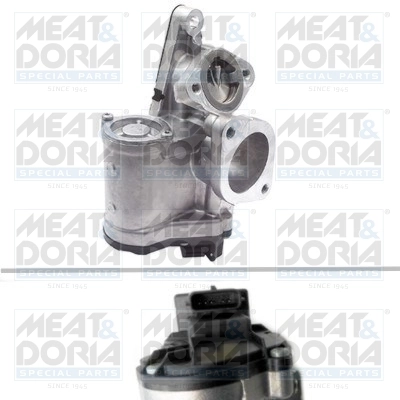 EGR Valve